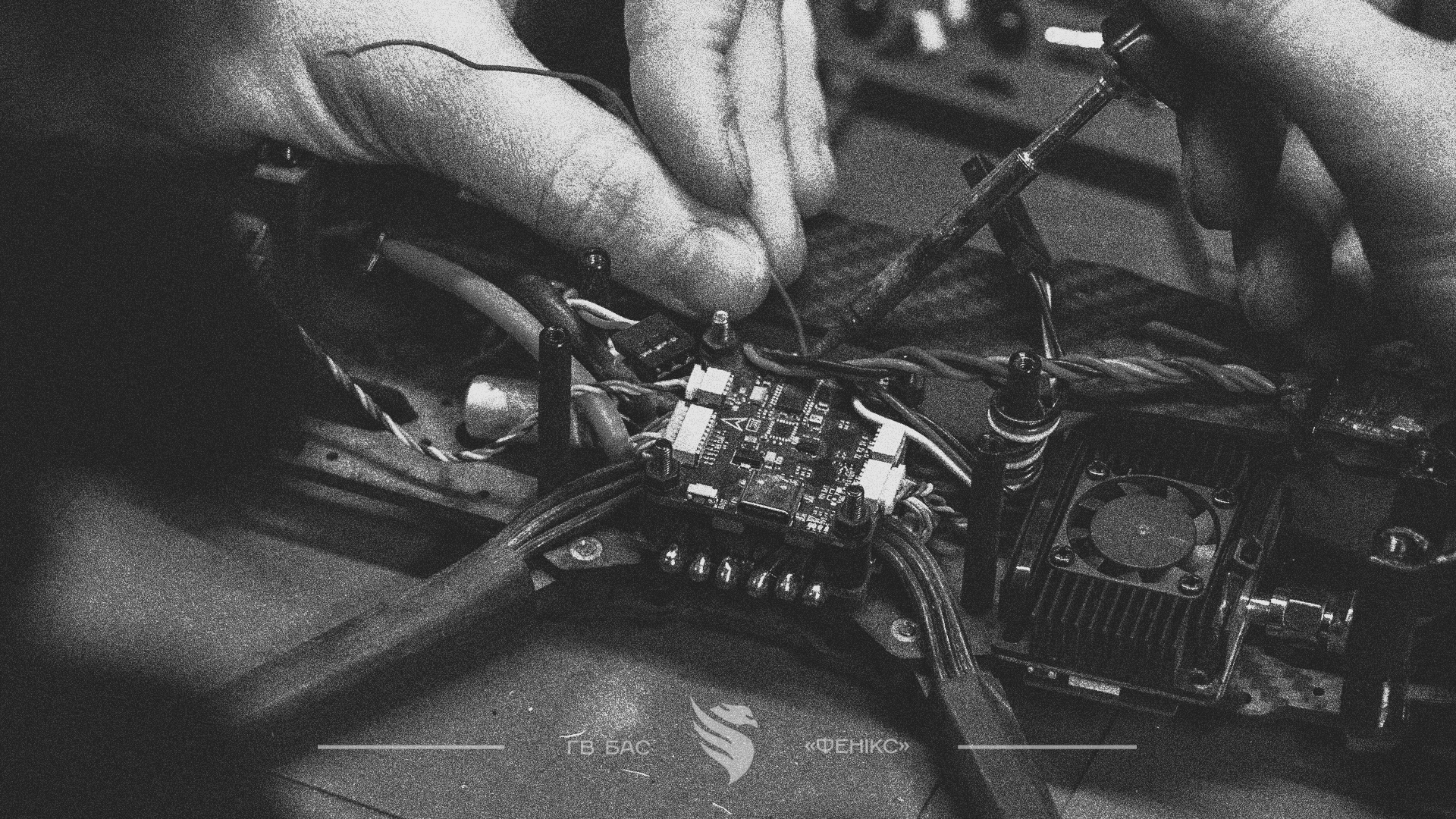 3D-рішення «Фенікса»